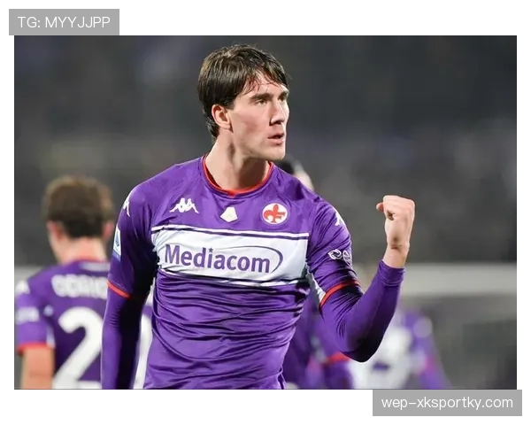 弗拉霍维奇禁区统治力解析：传统9号模板